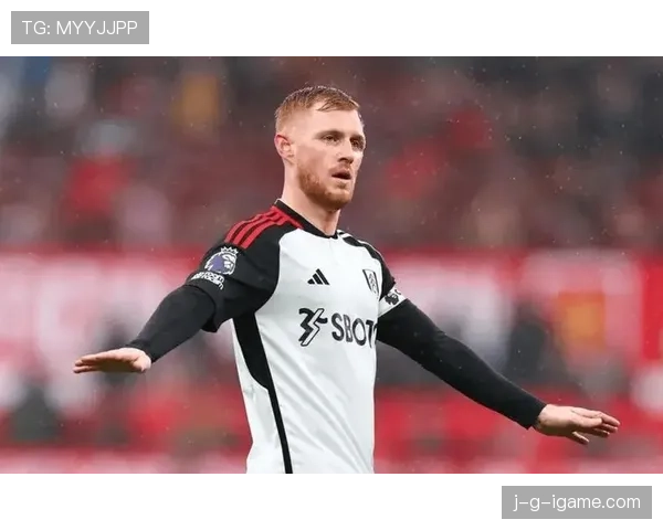 富勒姆高效进攻战术解析：英超赛场上的崛起之势与潜在挑战